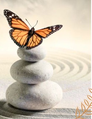 Pack SEO Croissance - Papillon déployant ses ailes, se préparant à s'envoler, symbolisant la croissance et le développement de sa visibilité