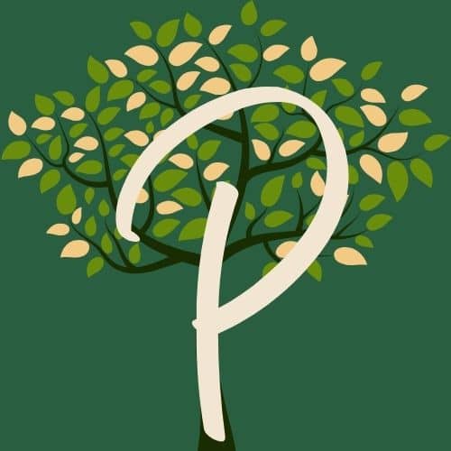 Favicone de Pascale seo, auto-entrepreneuse en visibilité web, représenté par un P sur une image d'arbre en feuilles.